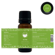 Load image into Gallery viewer, Essence Planet Tea Tree Essential Oil 10 mL 0.33 fl in a brown amber glass bottle with euro dropper. Label shows product information, how to use, cautions