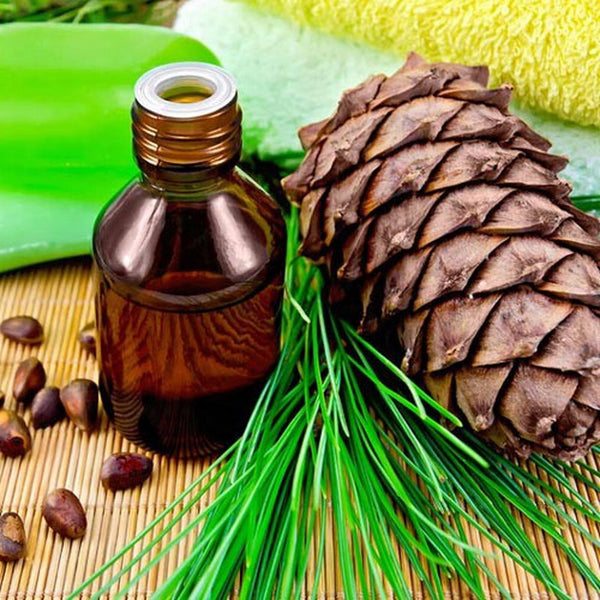 Benefits of Himalayan Cedarwood Essential Oil