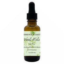 Load image into Gallery viewer, Waist-Mate Synergy Essential Oil Blend - For Men
